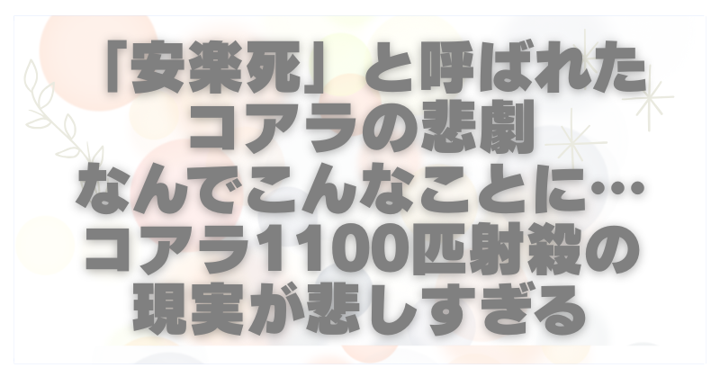 かわいそうすぎる…コアラ1100匹なぜ射殺?安楽死という名の暴力？