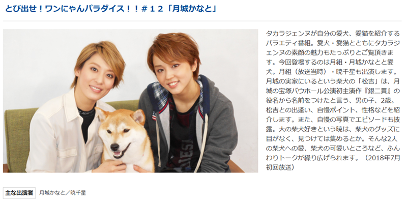 月城かなとの犬の写真
