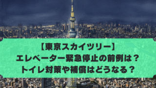 【東京スカイツリー】 エレベーター緊急停止の前例は？ トイレ対策や補償はどうなる？
